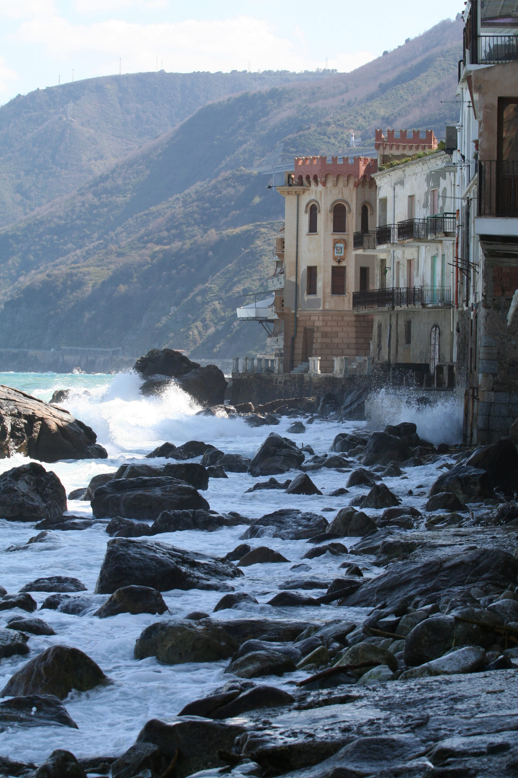 Scilla