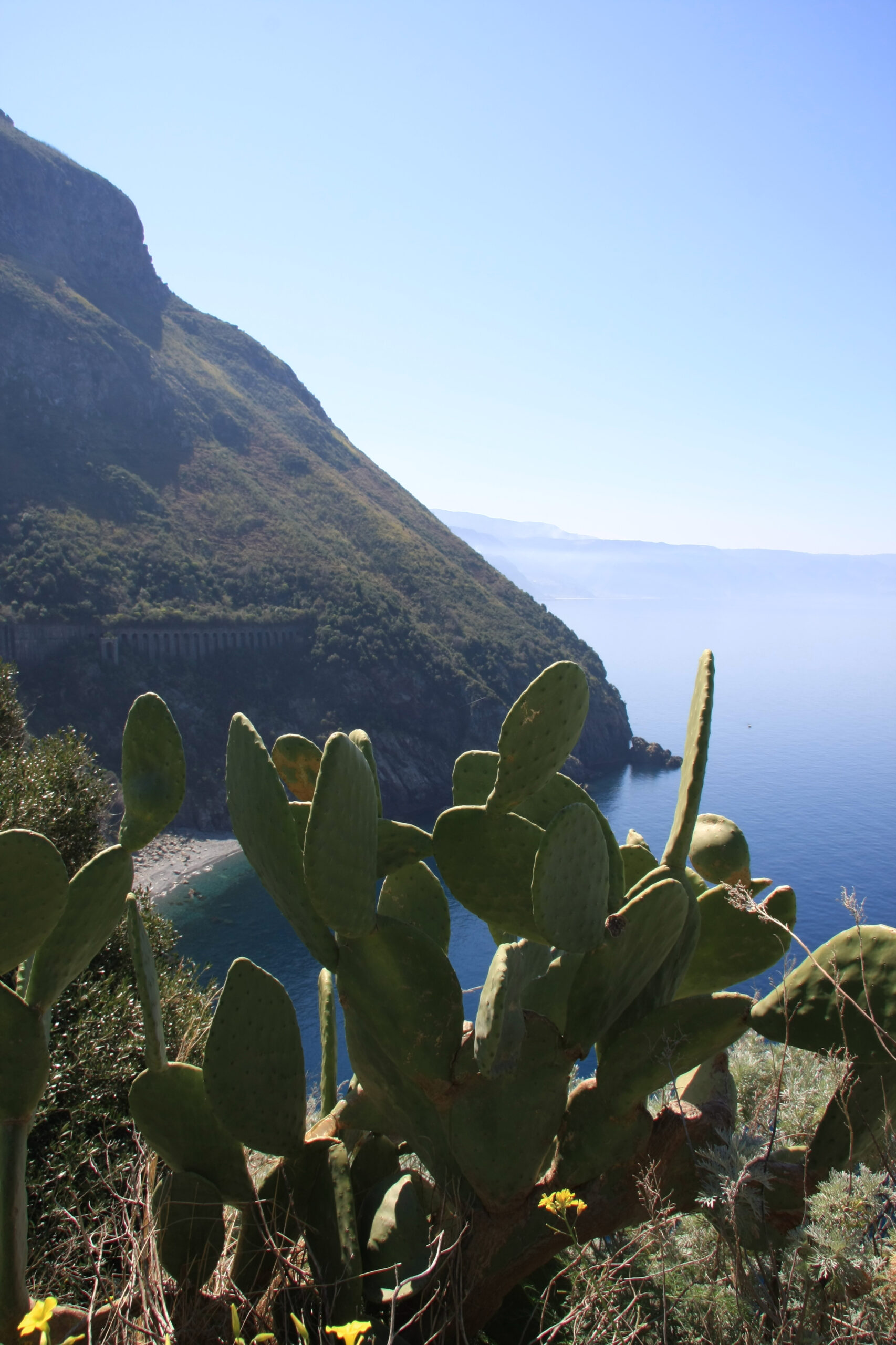 Palmi